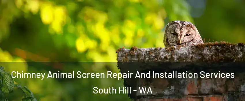  Chimney Animal Screen Repair And Installation Services South Hill - WA