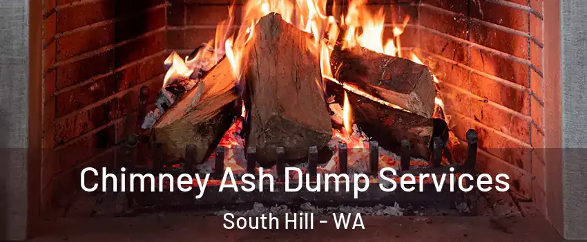  Chimney Ash Dump Services South Hill - WA