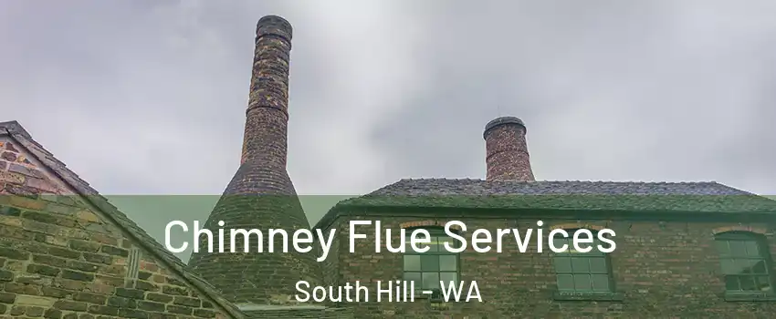  Chimney Flue Services South Hill - WA