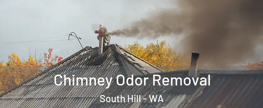  Chimney Odor Removal South Hill - WA