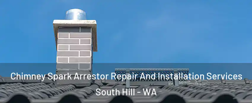  Chimney Spark Arrestor Repair And Installation Services South Hill - WA