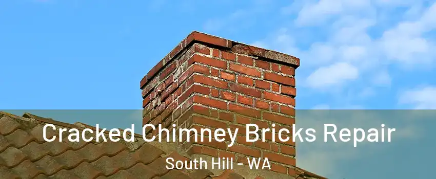  Cracked Chimney Bricks Repair South Hill - WA