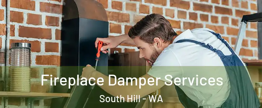 Fireplace Damper Services South Hill - WA