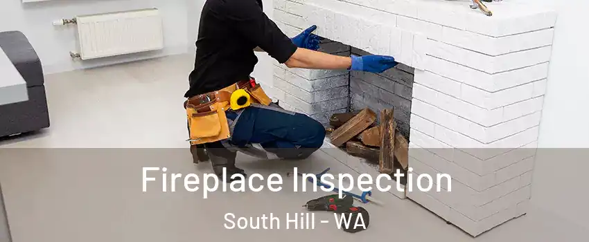  Fireplace Inspection South Hill - WA