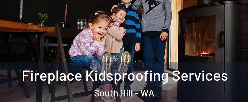  Fireplace Kidsproofing Services South Hill - WA
