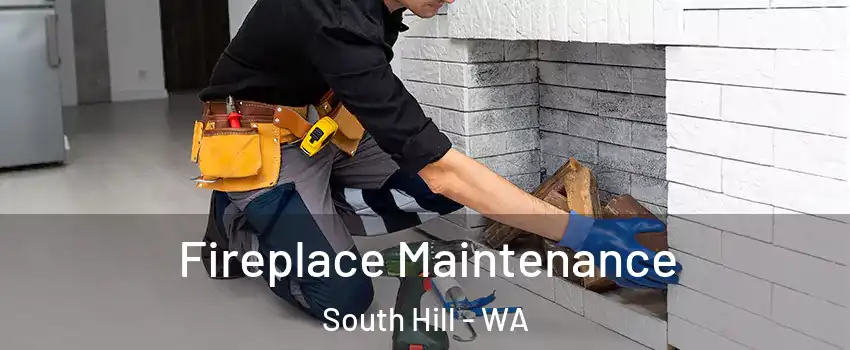  Fireplace Maintenance South Hill - WA