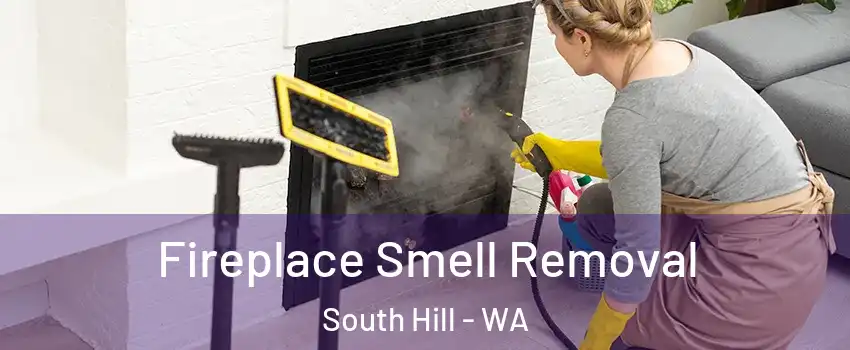 Fireplace Smell Removal South Hill - WA