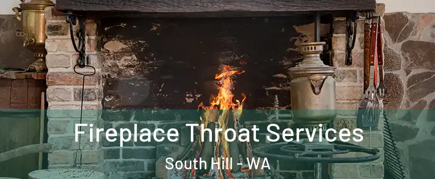  Fireplace Throat Services South Hill - WA