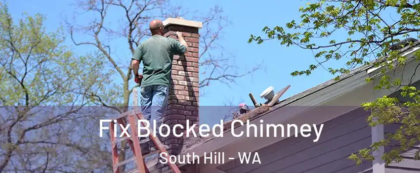  Fix Blocked Chimney South Hill - WA