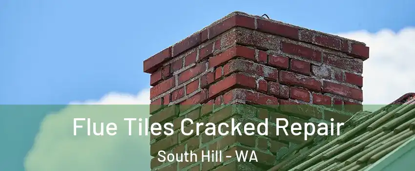  Flue Tiles Cracked Repair South Hill - WA