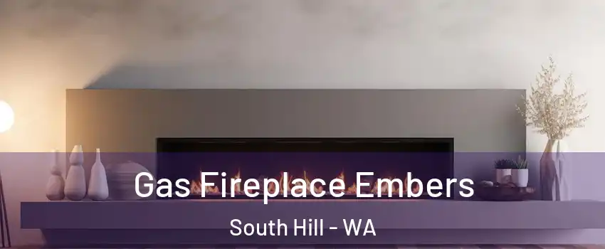  Gas Fireplace Embers South Hill - WA