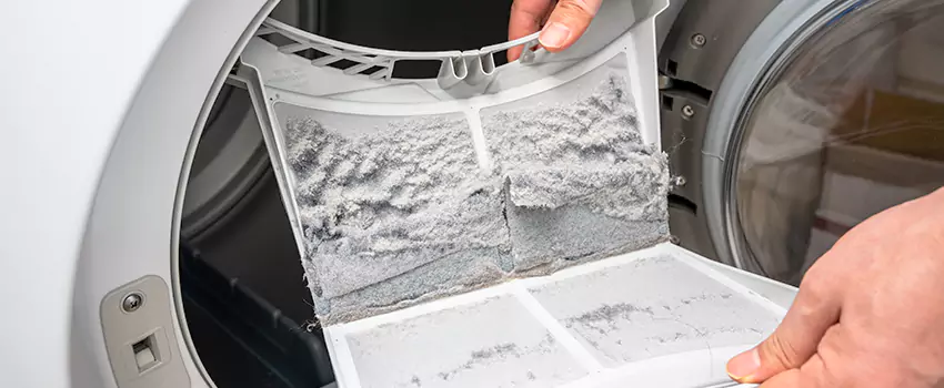 Best Dryer Lint Removal Company in South Hill, Washington