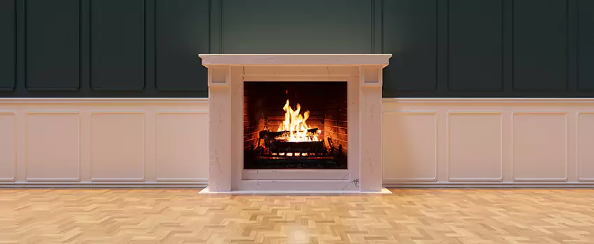 Napoleon Electric Fireplaces Inspection Service in South Hill, Washington