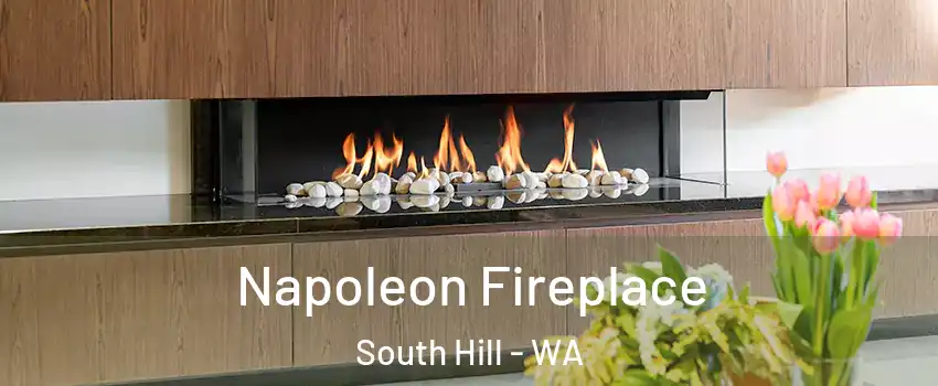  Napoleon Fireplace South Hill - WA
